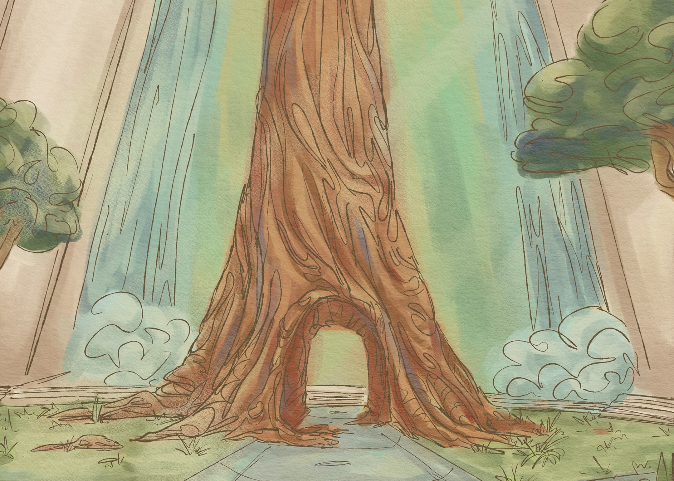 background